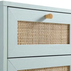 Frances Woven Rattan 1-Door Bathroom Cabinet, Mint -Garden Store FT BAC 01 SAGE detail1