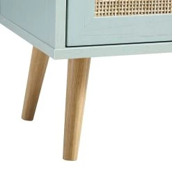 Frances Woven Rattan 1-Door Bathroom Cabinet, Mint -Garden Store FT BAC 01 SAGE detail3